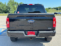 2023 Ford F-150 4WD SuperCrew 5.5' Box